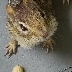 Meet your Posher, Leah